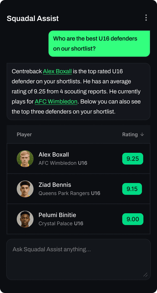 Squadal AI Assistant 2